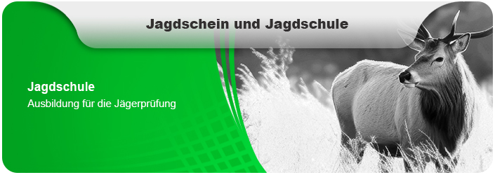 Banner Jagdschein Jagdschule.jpg